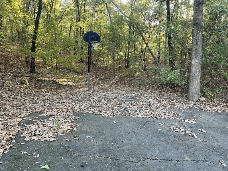 A weathered basketball hoop stands on an outdoor, cracked concrete court surrounded by trees and fallen leaves.