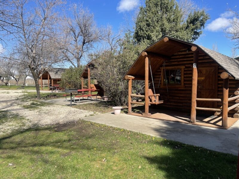 Three small log cabins with porches and porch swings sit side by side on a grassy area with picnic tables, trees, and a clear blue sky.