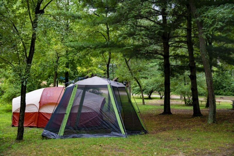 Two tents are set up on grassy ground in a wooded campsite, surrounded by green trees under daylight.