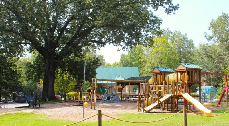 A playground with slides, climbing structures, and swings sits under large trees near a building on a sunny day.