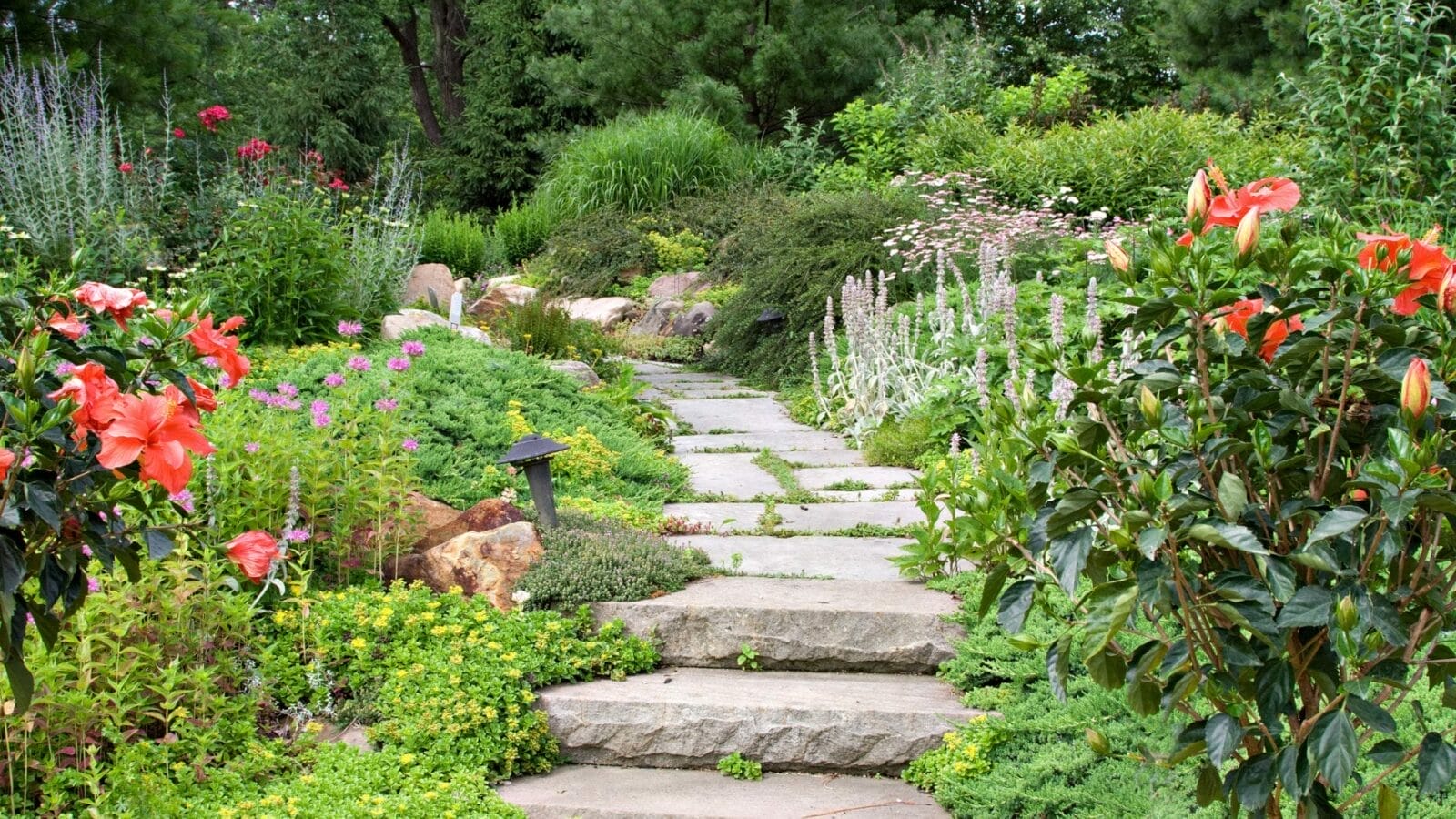 A stone pathway leads through a lush garden filled with various green plants and blooming flowers in vibrant colors.