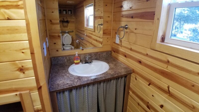 A small bathroom with wood panel walls, a countertop sink with hand soap, a mirror, a window, and a visible toilet reflected in the mirror.