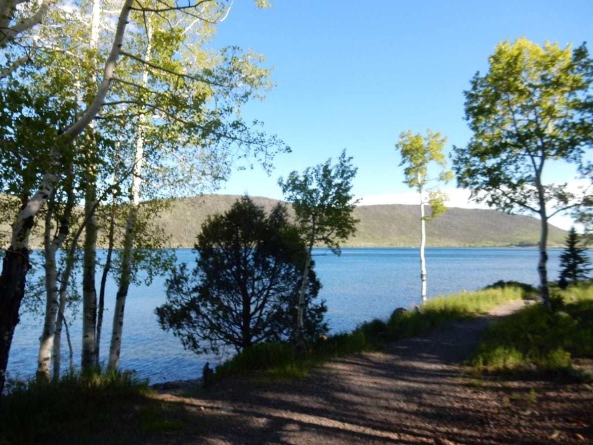 A dirt path runs along a lakeshore, bordered by trees, with a forested hill and clear blue sky in the background.