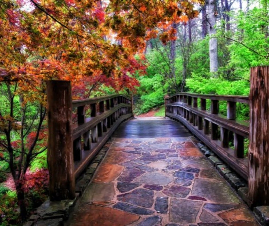 A stone pathway leads across a wooden bridge surrounded by vibrant green and orange foliage in a forested area.