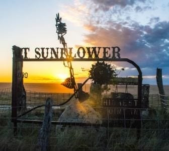 Metal sign reading "MT SUNFLOWER" with sunflower shapes, set against a sunset sky and open field, partially obscured by wire fencing.