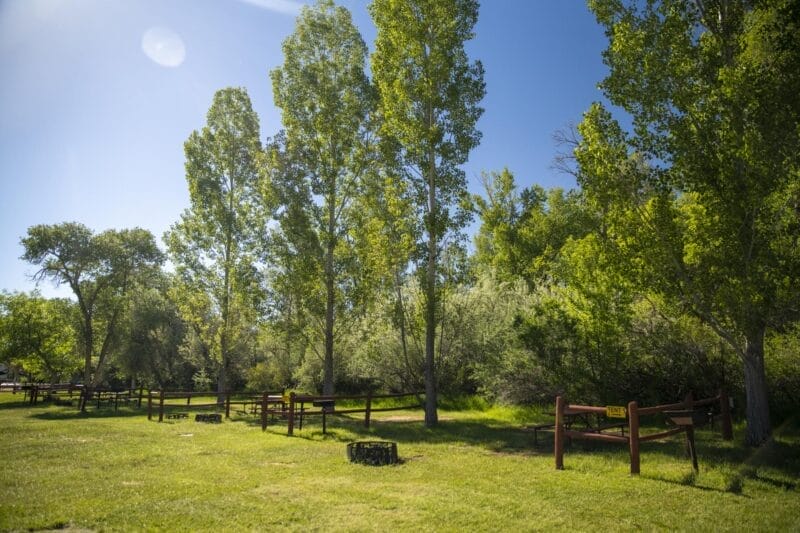 A grassy area with several empty campsites bordered by wooden rail fences, surrounded by tall green trees under a clear blue sky.