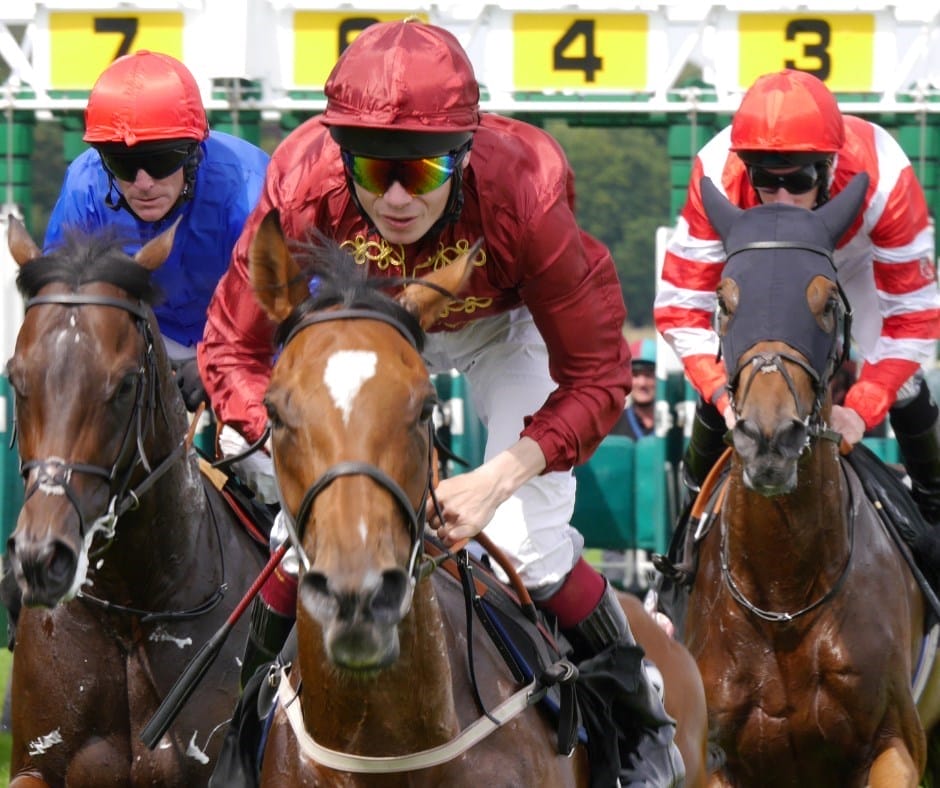 Three jockeys in colorful racing silks ride horses at full speed, approaching the finish line with the starting gate visible in the background.