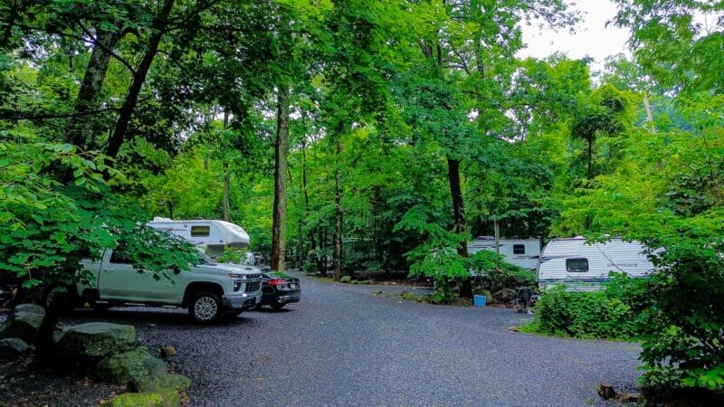 Two white trucks with attached campers and a white RV are parked on a paved road surrounded by dense green trees in a forested campground.