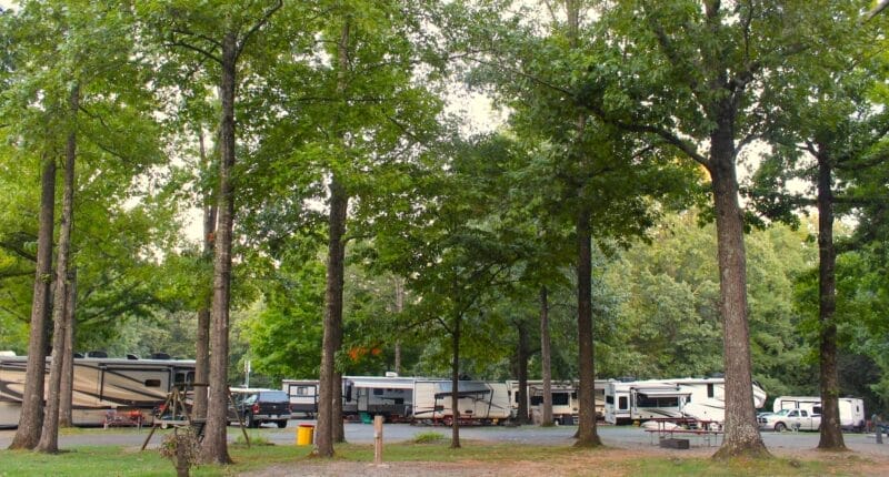 Several RVs are parked in a wooded campground area with tall trees, picnic tables, and a trash bin visible.