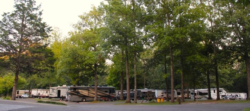 A row of RVs and trailers are parked in a wooded campground with tall trees and paved roads.