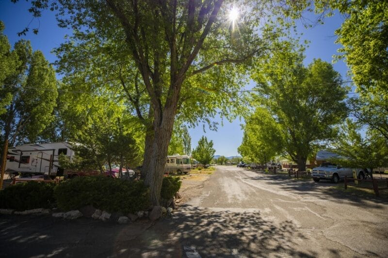 A sunny campground road lined with trees, RVs, and parked cars, with sunlight filtering through green foliage.