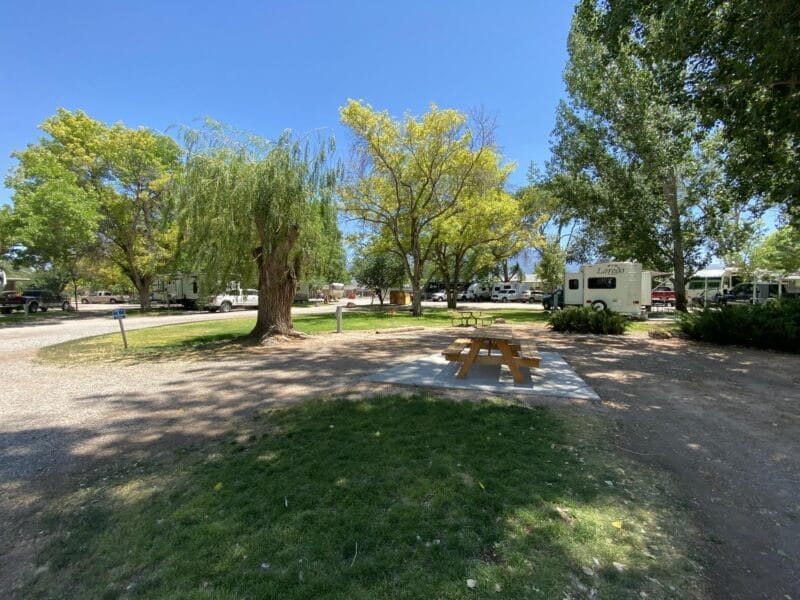 A picnic table sits on a concrete pad in a shaded, grassy area of an RV park with trees and several RVs in the background under a clear blue sky.