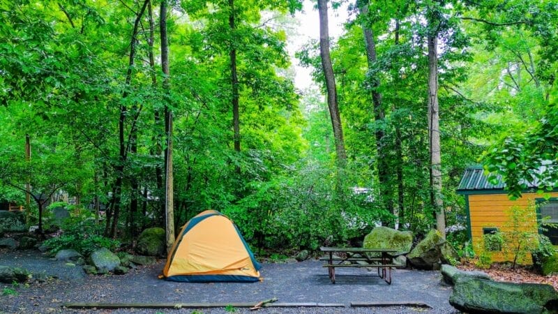 A yellow tent is set up on a gravel area in a forest next to a picnic table, large rocks, and a yellow building.