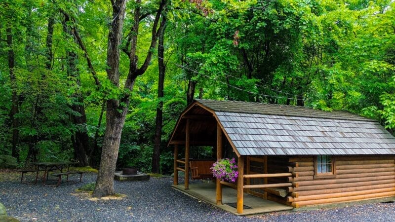 A small wooden cabin with a covered porch and hanging flowers stands in a forested area, with a picnic table and fire pit nearby.
