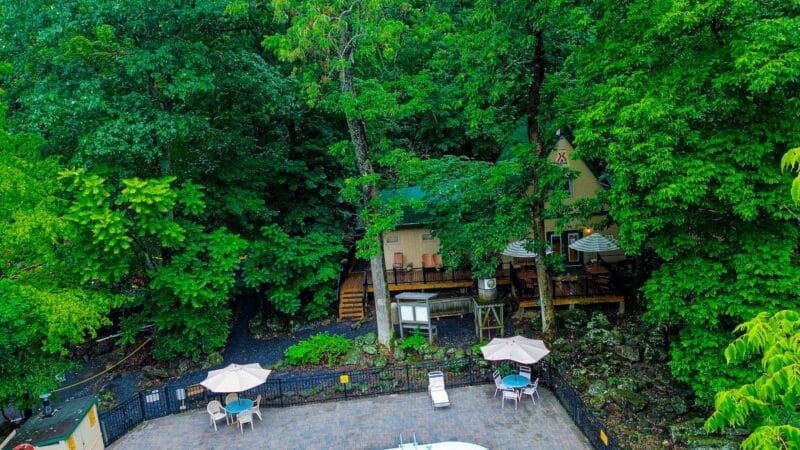 A cabin surrounded by dense green trees, with outdoor tables and umbrellas near a paved area and a swimming pool in the foreground.