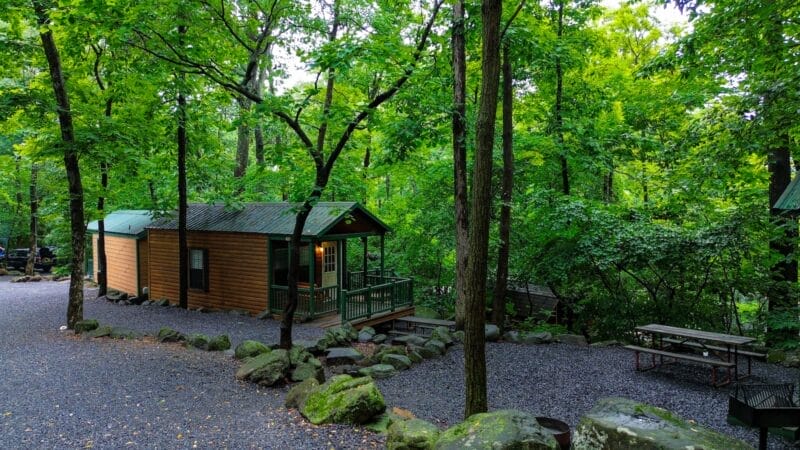 A small wooden cabin with a green roof is surrounded by trees and gravel paths; a picnic table and benches are nearby in the forested setting.