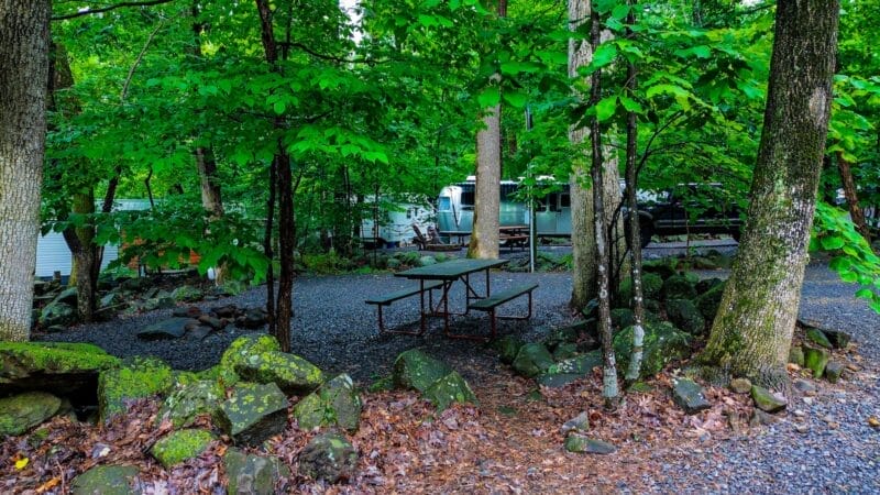 A picnic table and benches sit among trees and rocks at a wooded campground with RVs parked in the background.