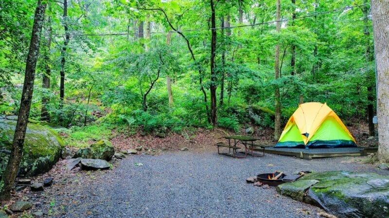 A yellow and green tent is set up on a wooden platform at a campsite in a lush, green forest, with a picnic table and fire ring nearby.