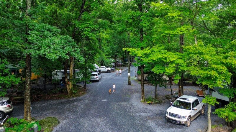A tree-covered campground with parked cars, RVs, and a few people walking along a gravel road under green foliage.