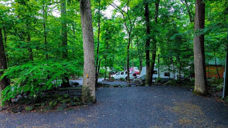 A wooded campground with gravel paths, picnic tables, parked vehicles, and several RVs surrounded by tall green trees.