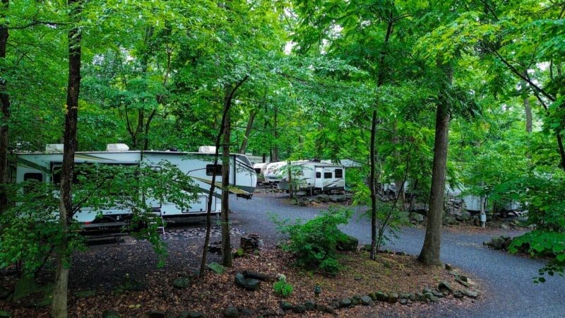 Several RVs are parked along a winding, paved path in a wooded, green forested campground.