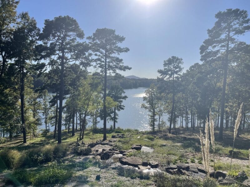 A sunny lake scene with tall pine trees in the foreground, rocks and greenery on the shore, and sunlight reflecting off the water.