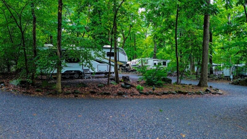 Several RVs are parked among tall green trees on gravel campsites in a wooded area with a curved gravel road in the foreground.
