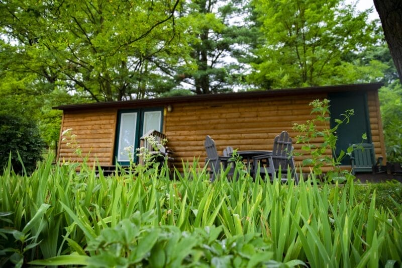 A small wooden cabin with a porch and outdoor chairs is surrounded by lush green plants and trees.