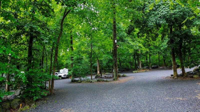 A paved campground surrounded by dense green trees, with an RV parked in the background and empty campsites visible in the foreground.