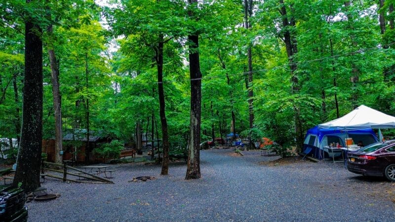 A wooded campground with several tents, a gravel pathway, parked cars, picnic tables, and camping supplies visible among the trees.
