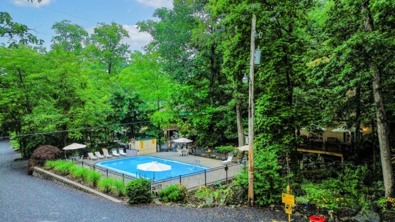 A fenced outdoor swimming pool with lounge chairs and umbrellas, surrounded by trees and greenery, on a gravel property.