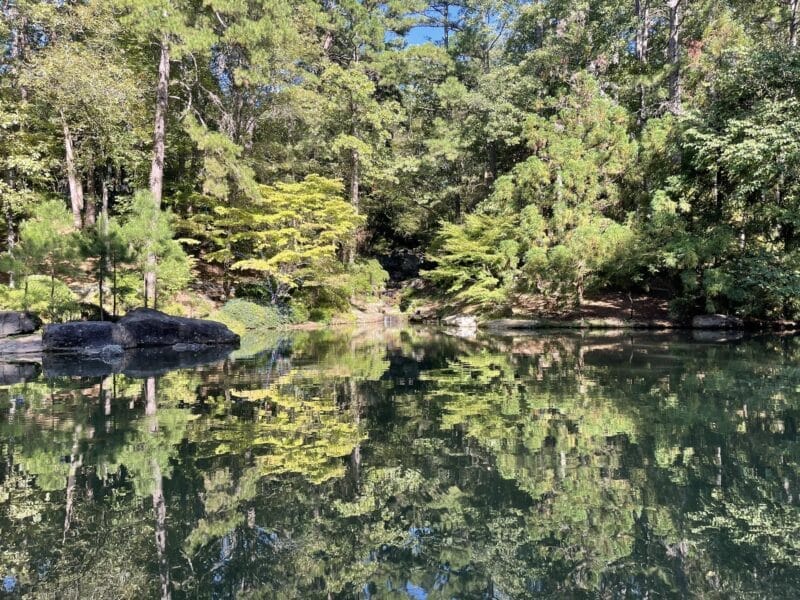 A calm pond reflects green trees and foliage under clear blue sky in a wooded area.