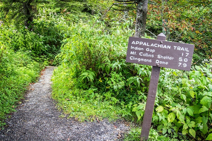 Appalachian Trail curves through dense greenery.